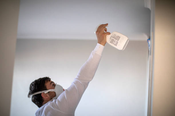 Best Mold Testing  in Bear Valley Springs, CA