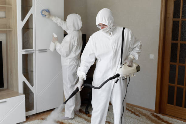 Best Crawl Space Mold Removal  in Bear Valley Springs, CA