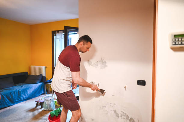 Best Home Mold Removal  in Bear Valley Springs, CA